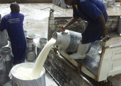 Reduce waste in milk with energy efficient UV – pasteurization