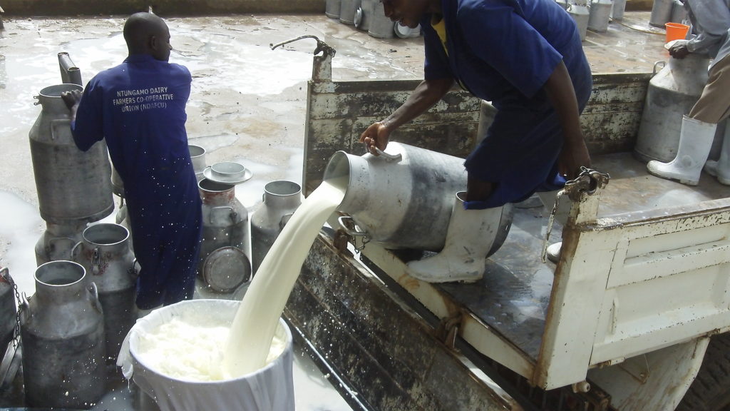 Danish Lyras is strengthening danish export with a sales-ready cold-pasteurization plant for the African market