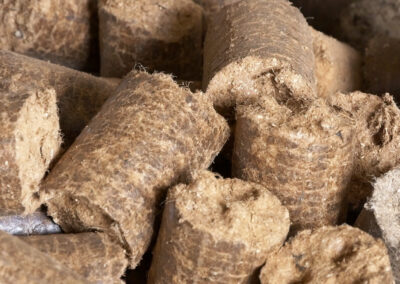 Biomass briquettes as an alternative to wood and oil