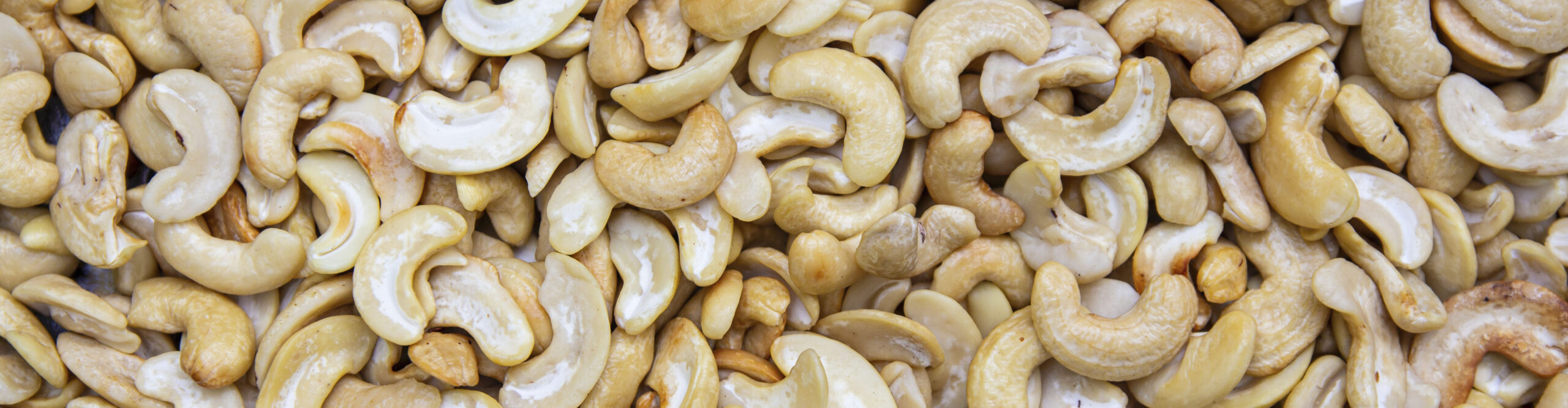 Cashew nut produktion