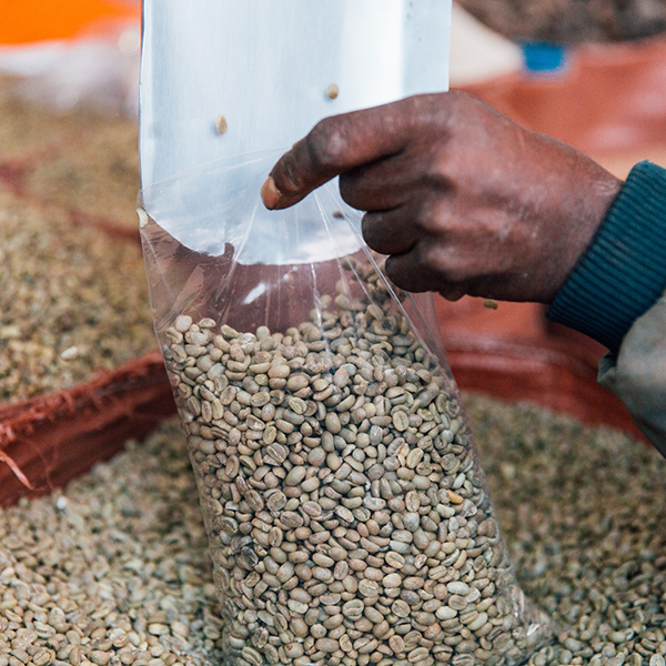 Untreated grain solutions in Africa