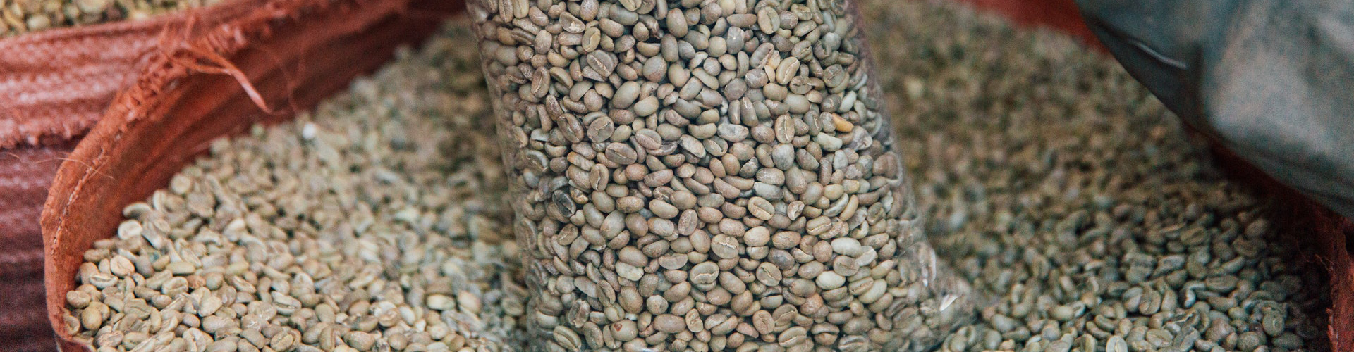 untreated grain Untreated Maize - Access2innovation