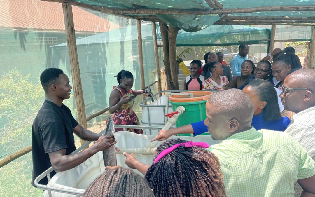 Aquaculture and Advocacy for Green Fish Farming