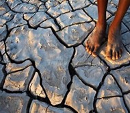 afrika